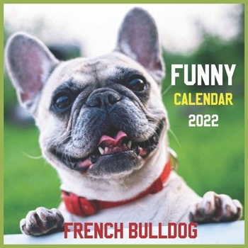 Paperback Funny French bulldog Calendar 2022: official Dogs calendar 2022, 12 months, Wild Animals, Cute Dogs, Square 2022 Calendar, Pets calendar 2022 Book