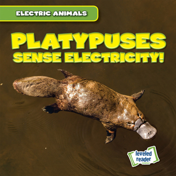 Paperback Platypuses Sense Electricity! Book