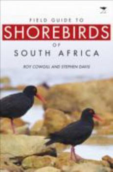 Paperback Field guide to shorebirds of South Africa Book