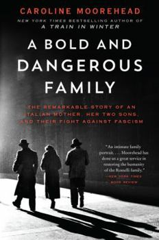 A Bold and Dangerous Family - Book  of the Resistance Quartet