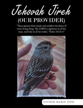 Paperback Jehovah Jireh (Our Provider) Book