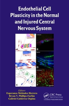 Hardcover Endothelial Cell Plasticity in the Normal and Injured Central Nervous System Book