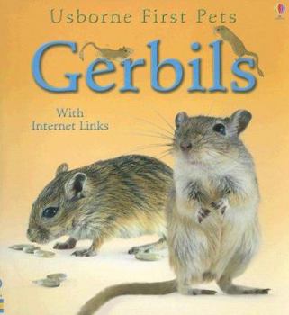 Paperback Gerbils Book