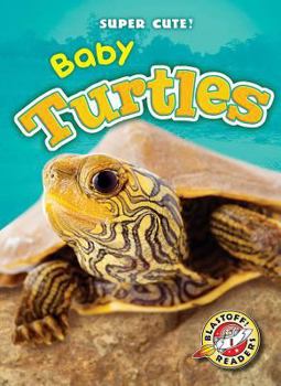 Baby Turtles - Book  of the Super Cute!