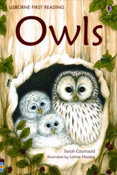 Owls - Book  of the Usborne First Reading Level 3