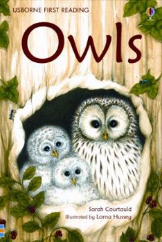 Hardcover Owls Book