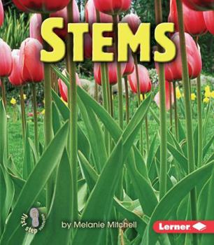 Stems - Book  of the First Step Nonfiction