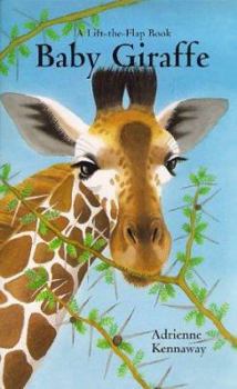 Hardcover Baby Giraffe Book