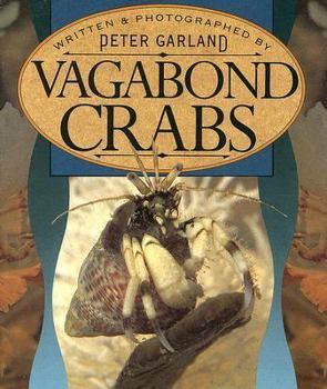 Paperback Vagabond Crabs (Literacy 2000 Satellites: Stage 4) Book