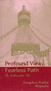Paperback Profound View Fearless Path Book