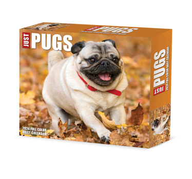 Product Bundle Pugs 2024 6.2 X 5.4 Box Calendar Book