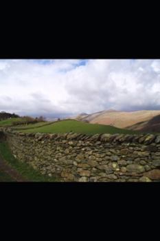 Paperback Brackendale Book