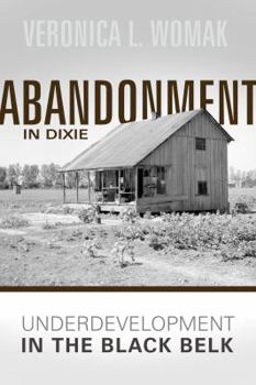 Paperback Abandonment in Dixie Book
