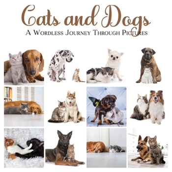 Paperback Cats & Dogs: A Wordless Journey Through Pictures Book