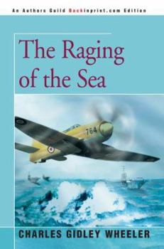 Paperback The Raging of the Sea Book