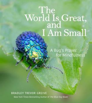 Hardcover The World Is Great, and I Am Small: A Bug's Prayer for Mindfulness Book