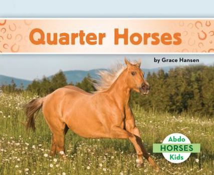 Library Binding Quarter Horses Book