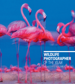 Paperback Wildlife Photographer of the Year: Highlights Volume 5 Book