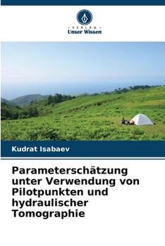 Paperback Parameterschätzung unter Verwendung von Pilotpunkten und hydraulischer Tomographie [German] Book
