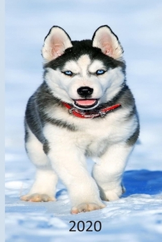 2020: Dog  Diary, Planner, Agenda  - Week Per View - Gift for Dog Lover - SIBERIAN HUSKY, ALASKAN MALAMUTE