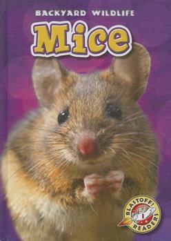 Mice - Book  of the Backyard Wildlife