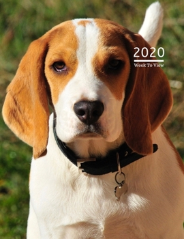 2020 A4 Diary Week To View Planner For All Occasions: | Year Planner For Business, Office, Home, University, College, School, Appointments, Organizer.