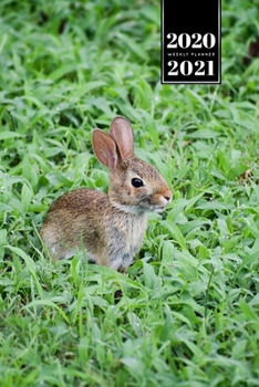 Rabbit Bunny Hare Rodent Week Planner Weekly Organizer Calendar 2020 / 2021 - Small Dwarf: Cute Wildlife Animal Pet Bullet Journal Notebook Diary in 6” x 9” Inch Pocket Size