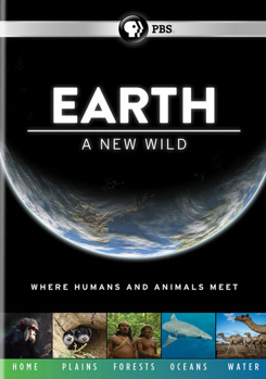 DVD Earth: A New Wild Book