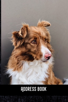 Address Book: Border Collie - Phone & contact book -All contacts at a glance - 120 pages in alphabetical order / size 6x9  (A5)