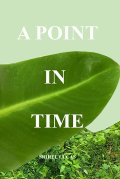 Paperback A Point in Time Book