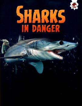 Paperback Shark! Sharks In Danger Book