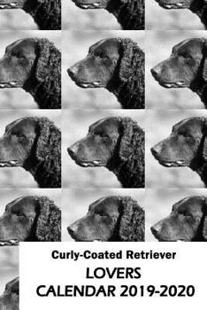 Paperback Curly-Coated Retriever Lovers Calendar 2019-2020 Book