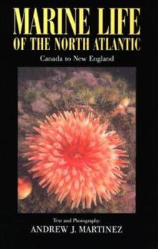 Paperback Marine Life of the North Atlantic: Canada to New England Book