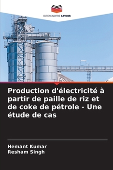 Production d'électricité à partir de paille de riz et de coke de pétrole - Une étude de cas