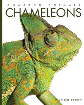 Chameleons - Book  of the Amazing Animals