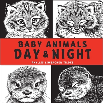 Board book Baby Animals Day & Night Book