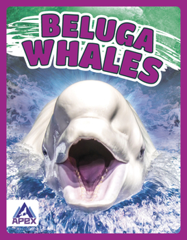 Library Binding Beluga Whales Book