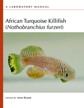 Paperback African Turquoise Killifish (Nothobranchius Furzeri): A Laboratory Manual Book