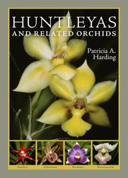 Hardcover Huntleyas and Related Orchids Book