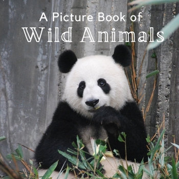 Paperback A Picture Book of Wild Animals: A Beautiful Picture Book for Seniors With Alzheimer's or Dementia. A Great Gift for Elderly Parents and Grandparents! Book
