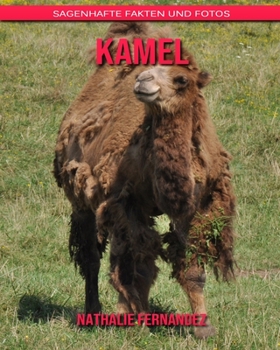 Kamel: Sagenhafte Fakten und Fotos