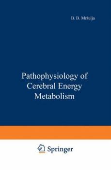 Paperback Pathophysiology of Cerebral Energy Metabolism Book