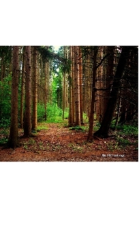 Nature grid style notebook $ir Michael NYC Limited edition