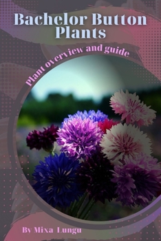 Bachelor Button Plants: Plant overview and guide