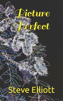 Paperback Picture Perfect Book