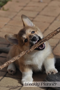 Weekly Planner: Daily Agenda Organizer Schedule 6x9 52 weeks