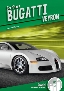Library Binding Bugatti Veyron Book