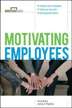 Paperback Motivating Employees Book