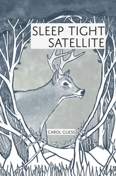 Paperback Sleep Tight Satellite: Stories Book