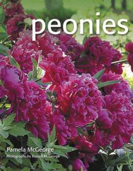 Paperback Peonies Book